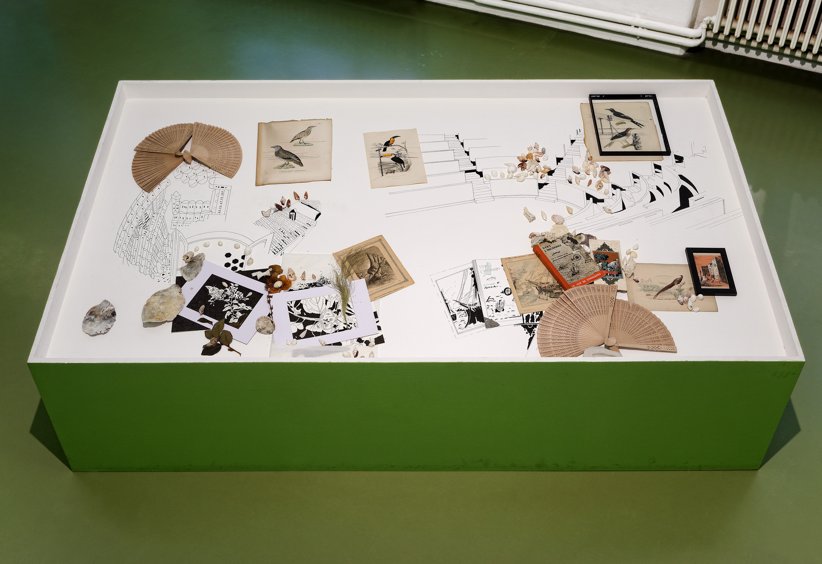 La conf�rence des oiseaux, 2016