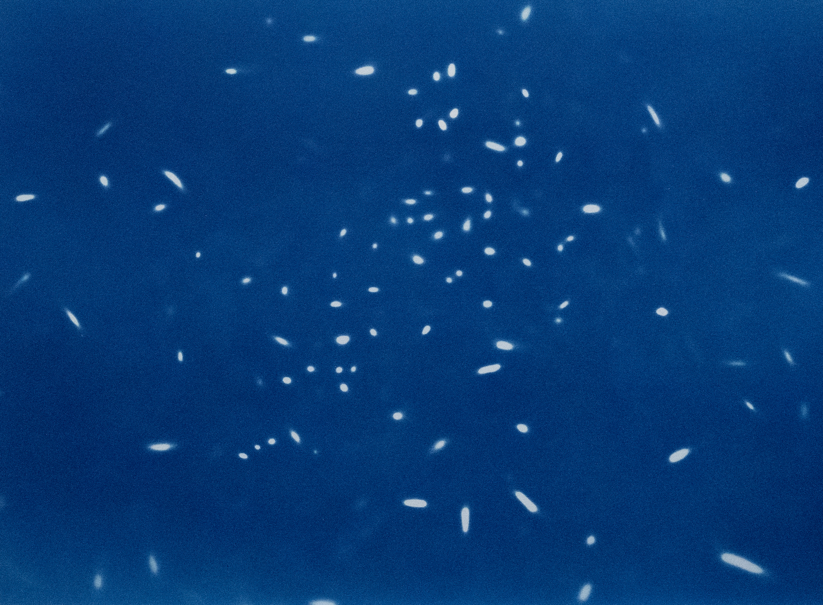 Terrestrial Light 03, 2023