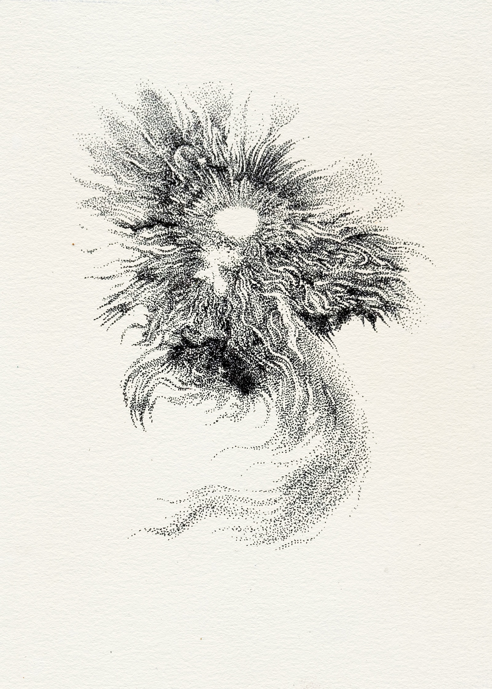 Taches solaires (sunspot) 02, 2025