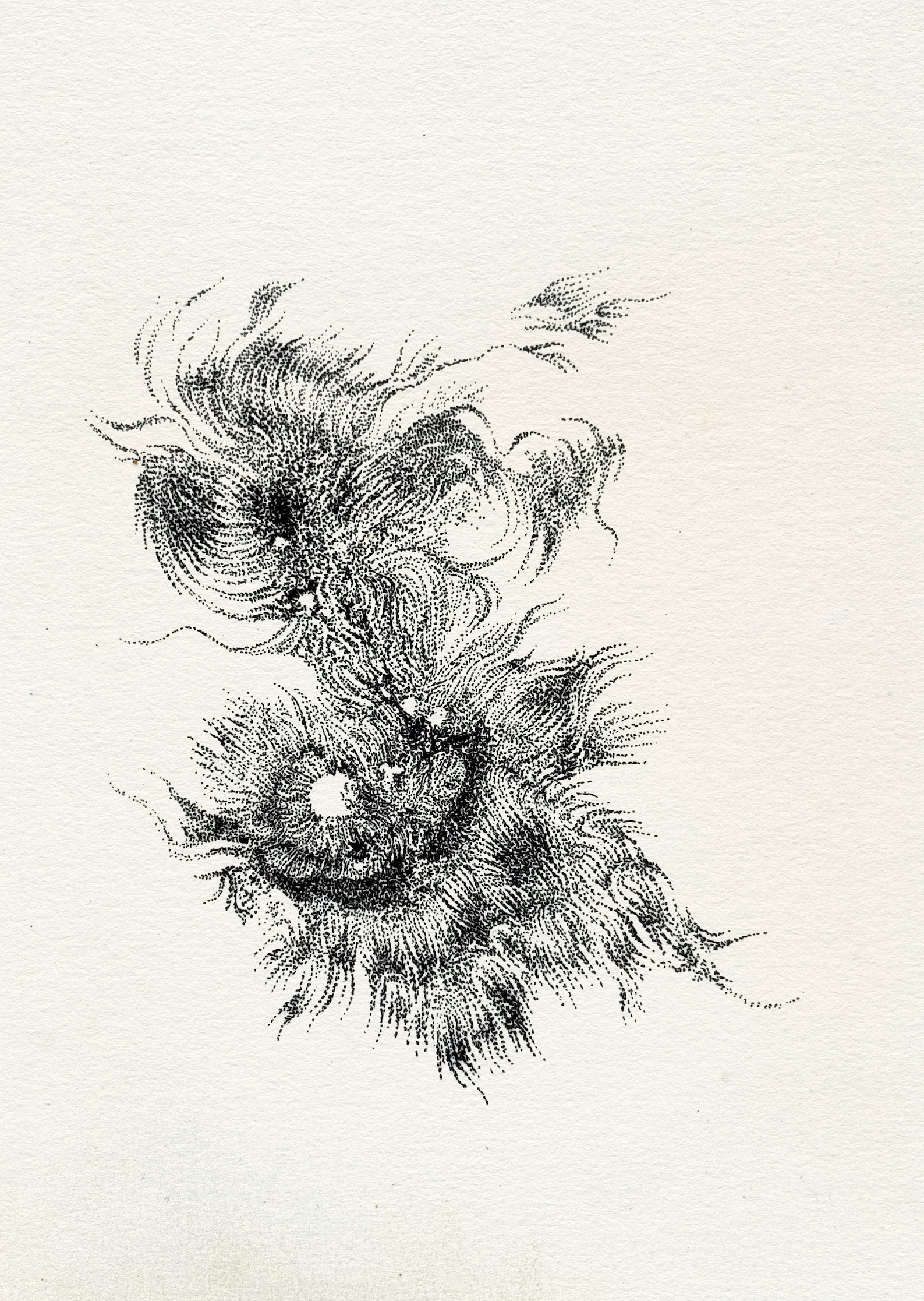 Taches solaires (sunspot) 03, 2025