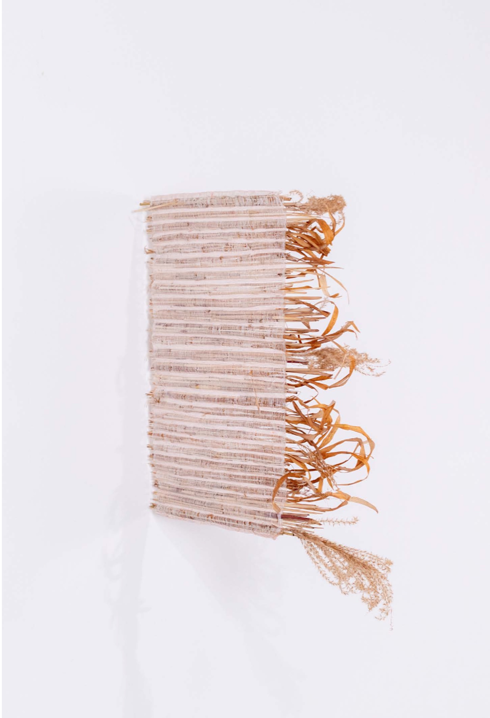 Pour faire une prairie, 2020