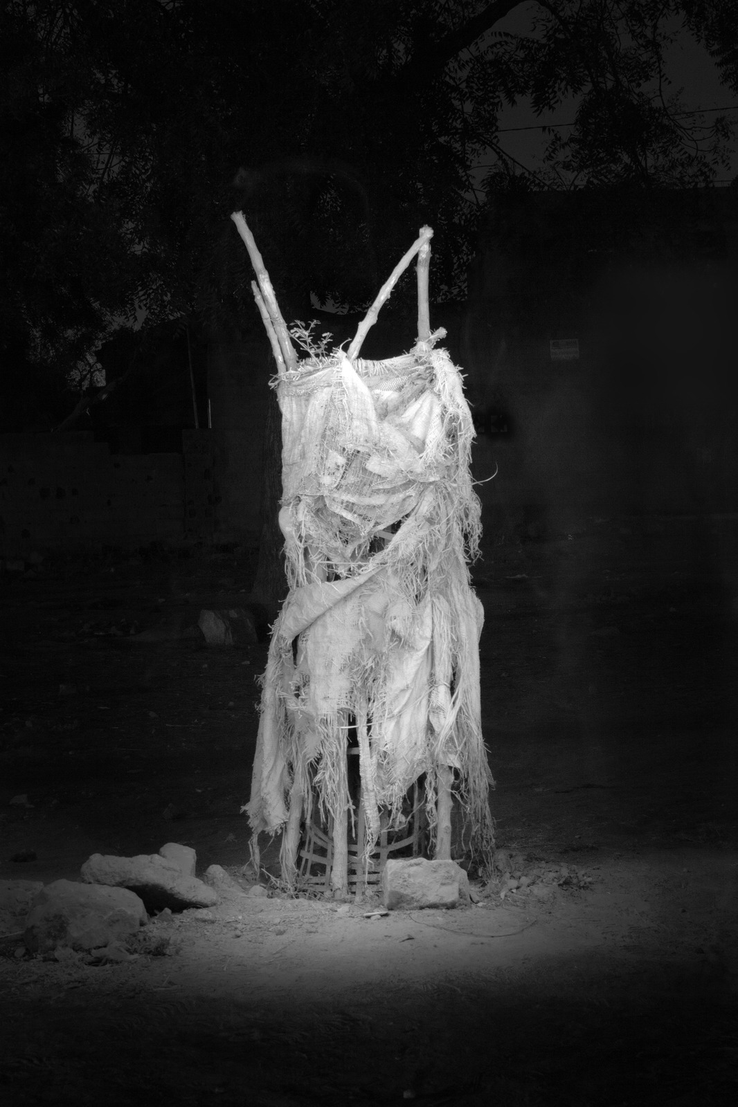 Jingfang Hao et Lingjie Wang