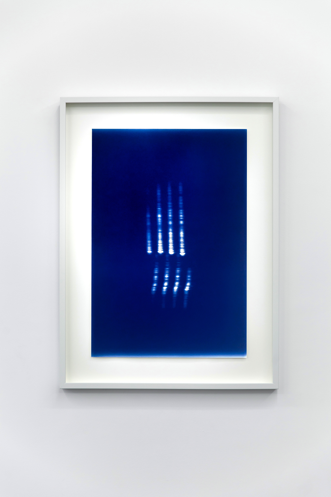 Chant de la m�sange noire, 2017