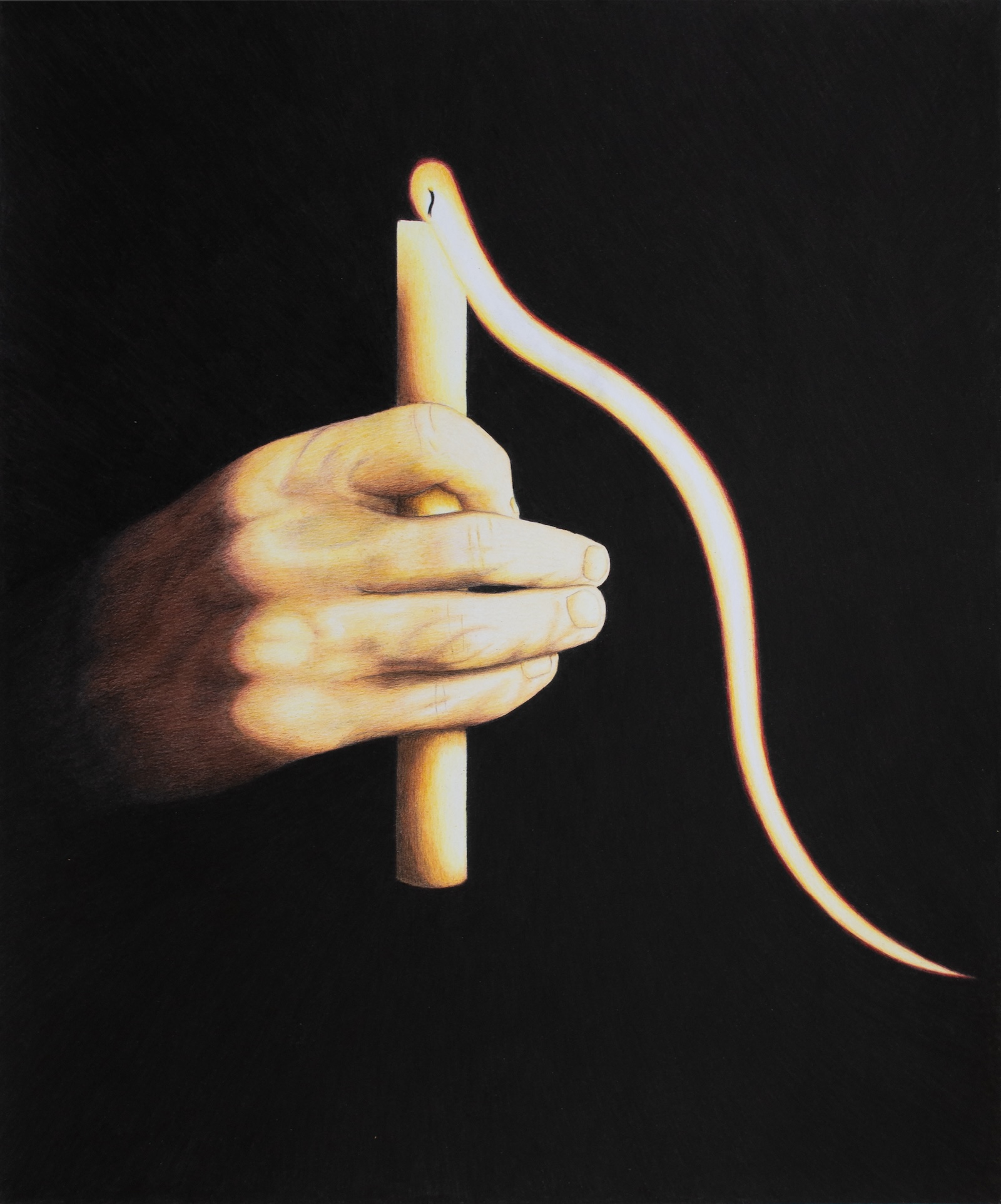 Ce qui nous guide, 2024