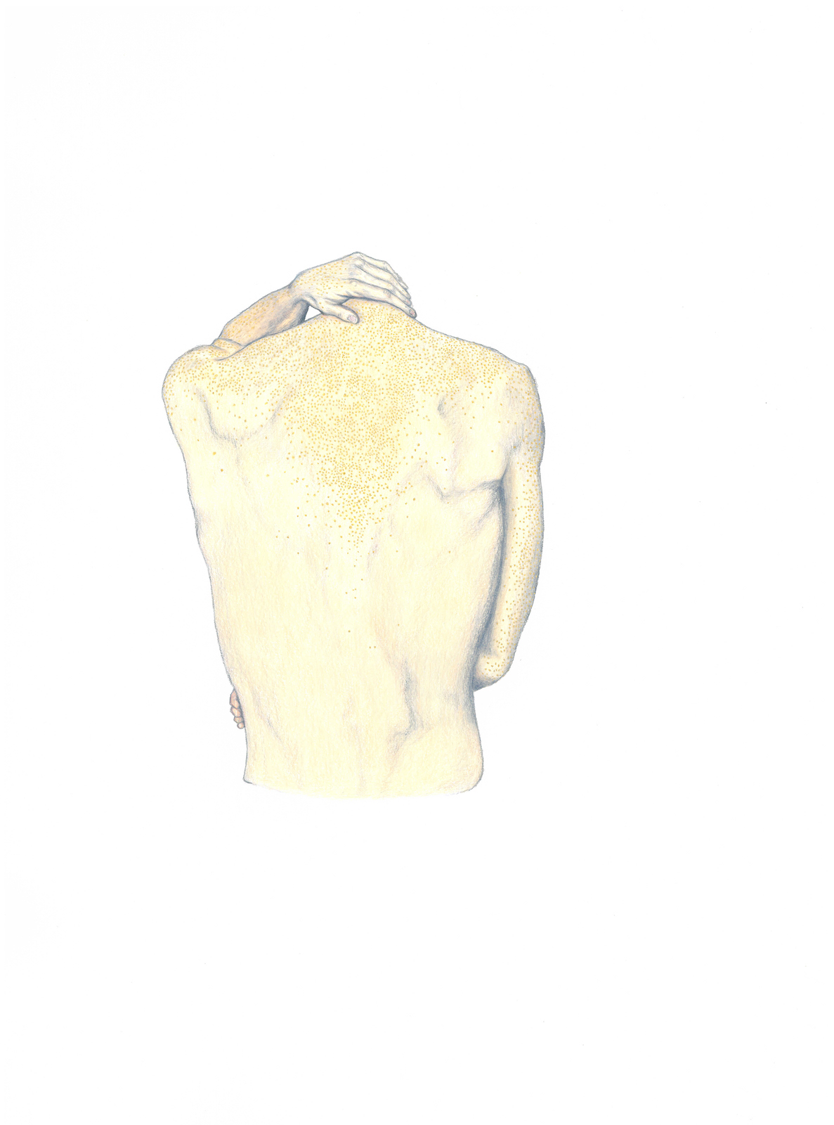 Les �clats diurnes, 2019