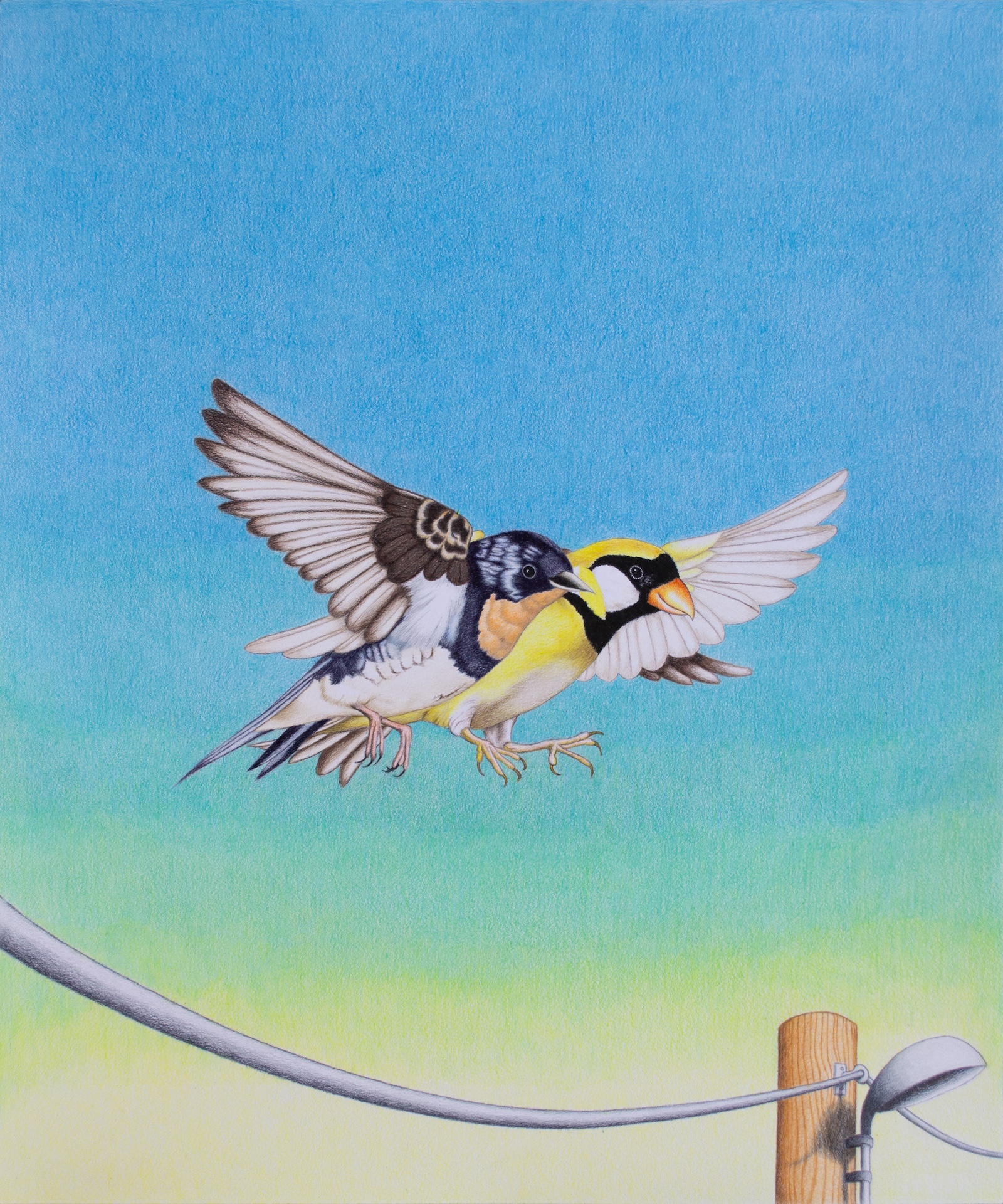 Les ailes du coeur, 2024