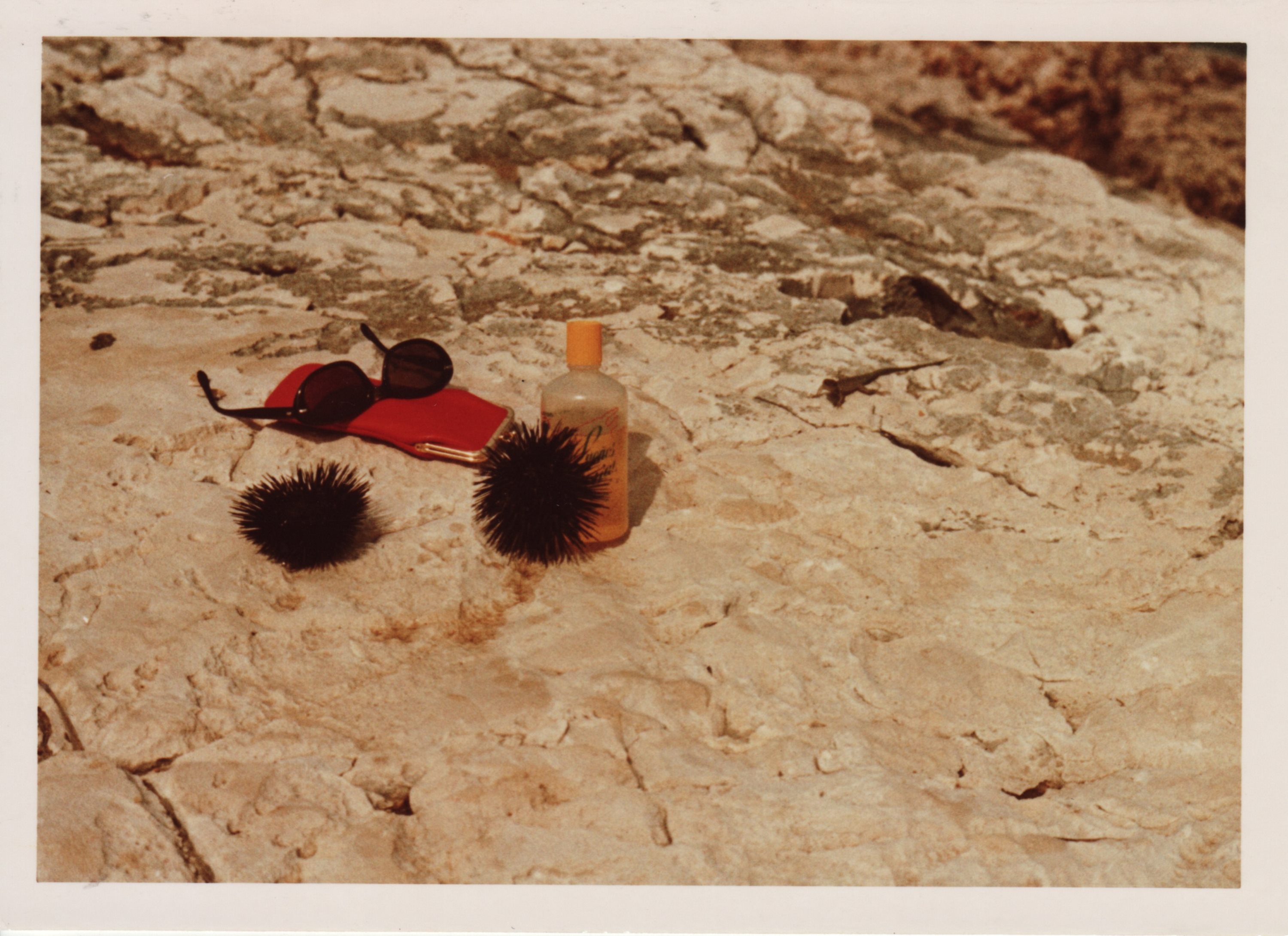 L'ann�e pass�e, 2015